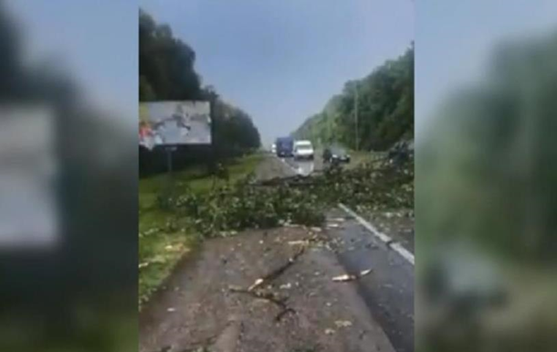 Вблизи Стрыя во Львовской области порывами ветра свалило дерево на оживленную международную трассу.
