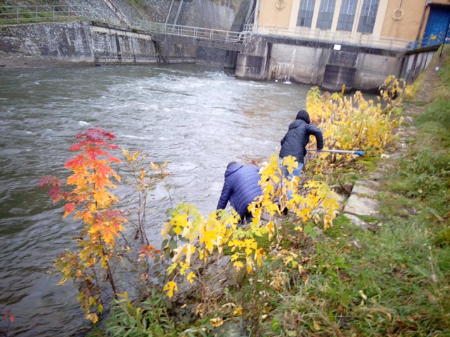 В Государственной экологической инспекции прокомментировали загрязнение канала образования реки Уж.