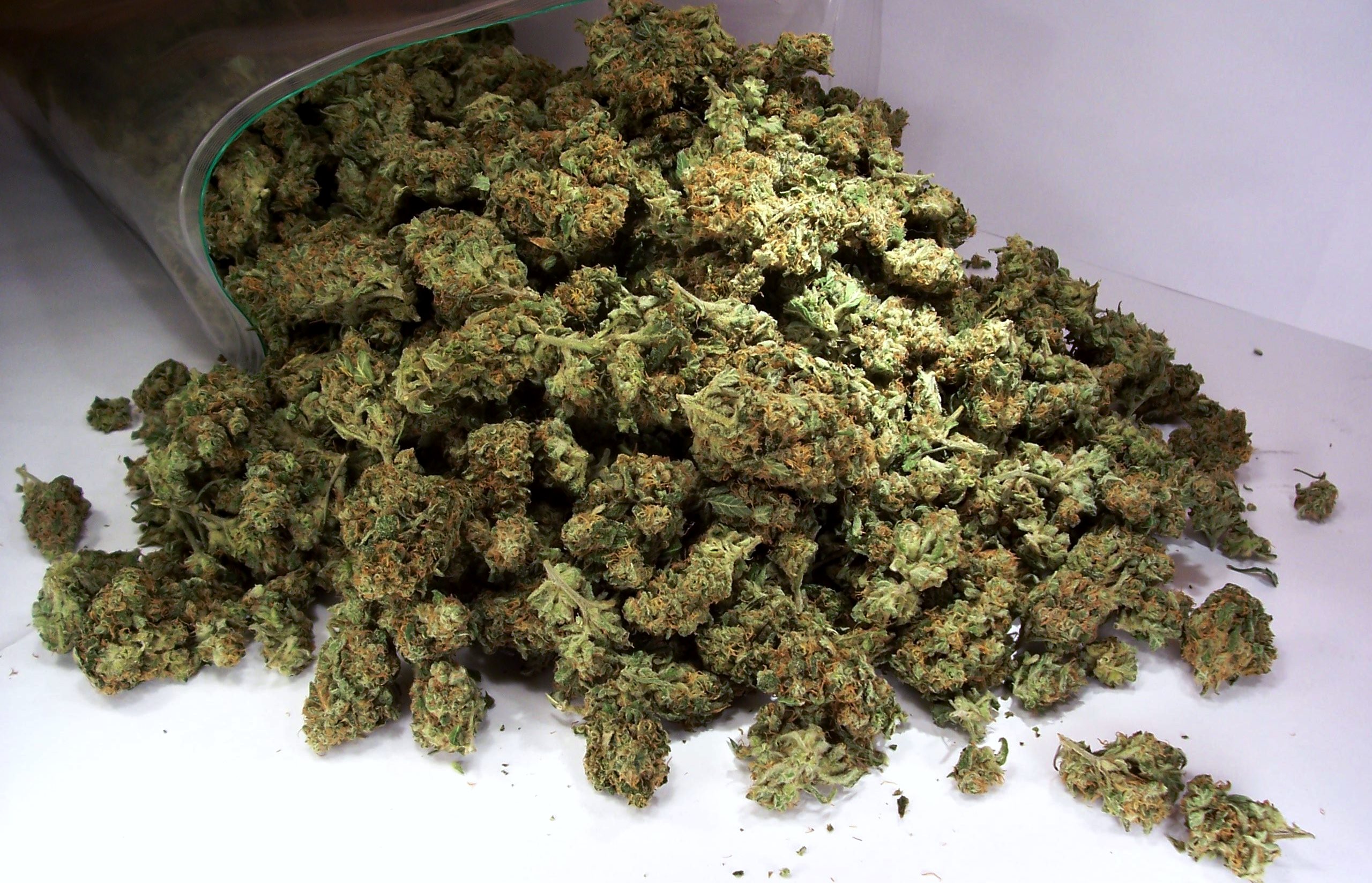 Во время судом обыска в доме 61-летнего жителя с.Балажер Береговского района правоохранители нашли и изъяли около 200 граммов марихуаны. По данному факту начато досудебное расследование.