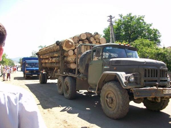 Закарпатська митниця почала оформлення вантажів із обробленою деревиною, черг із фурами більше немає.
