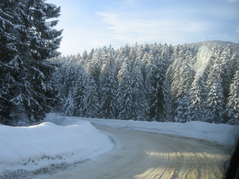 Температура повітря вночі 0-5°, вдень 2-7° тепла, в горах місцями протягом доби 2-4° морозу.