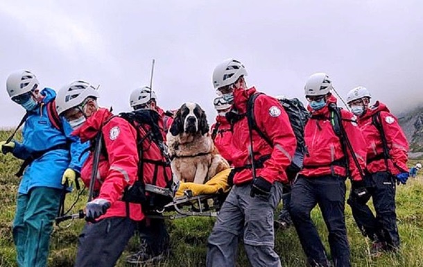 Огромный сенбернар упал с горы и через поврежденные лапы не мог двигаться. В спасательной операции приняли участие 16 человек.
