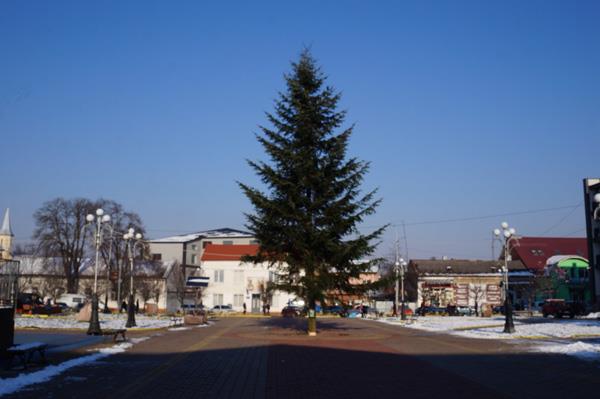 В первый день зимы, 1 декабря, на площади Поштова в Тячеве была установлена новогодняя хвойная елка. 