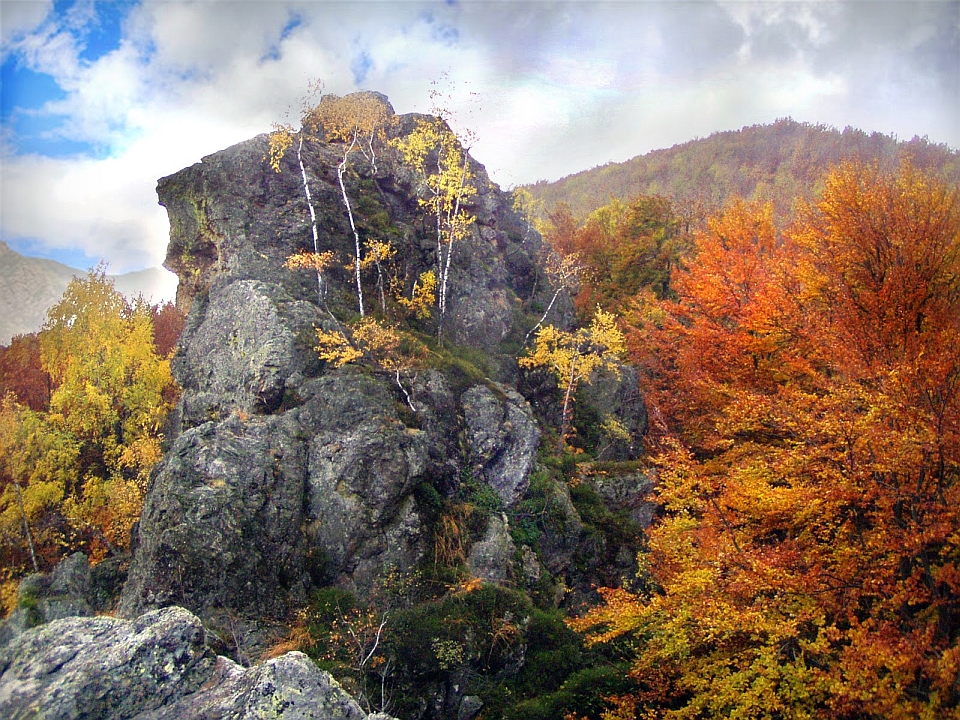 Закарпатська ОДА схвалила розширення території трьох національних природних парків – «Синевир», «Зачарований край» та Ужанського.