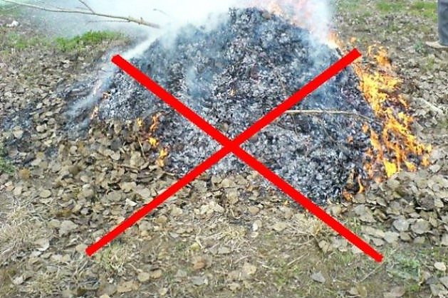 Спалювання сухої трави, рослинних залишків та побутового сміття насамперед навесні та восени перетворюється на справжнє екологічне лихо.