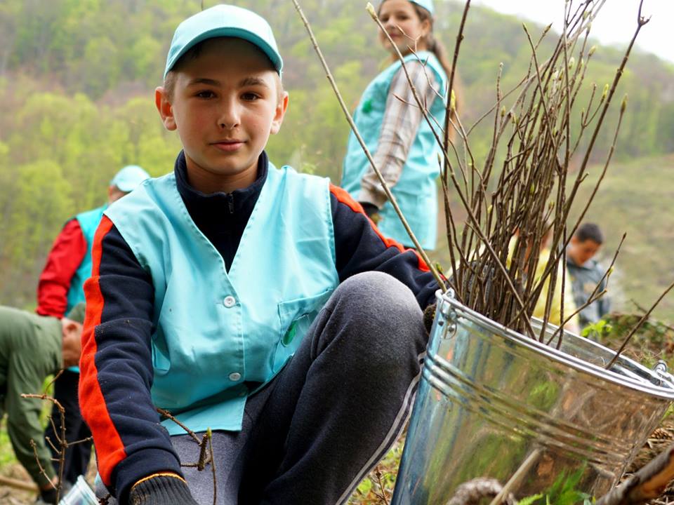 В Грушівському лісництві в рамках акції «#Майбутнє_лісу_у_твоїх_руках» висадили майже 9000 саджанців.
