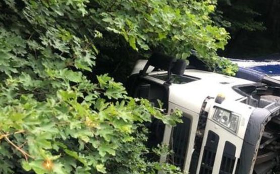 "Перевернувся на бокову й припаркувався у кювет": на трасі Київ — Чоп сталася ДТП (ФОТО)