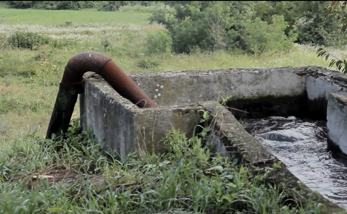 Темні болота поблизу Тиси неподалік Виноградова виявили захисники природи / ВІДЕО