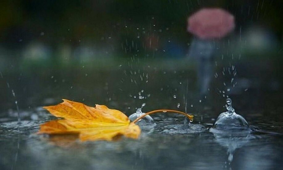 Синоптики попередили про сильні дощі в Карпатах та на Закарпатті.