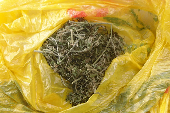 Во время составления административного протокола на ужгородца, правоохранители обнаружили у него пакет с веществом похожее на наркотическое.