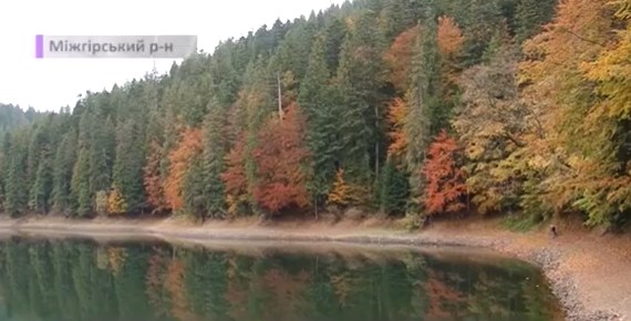 В сети показали, как выглядит озеро Синевир в октябре / ВИДЕО