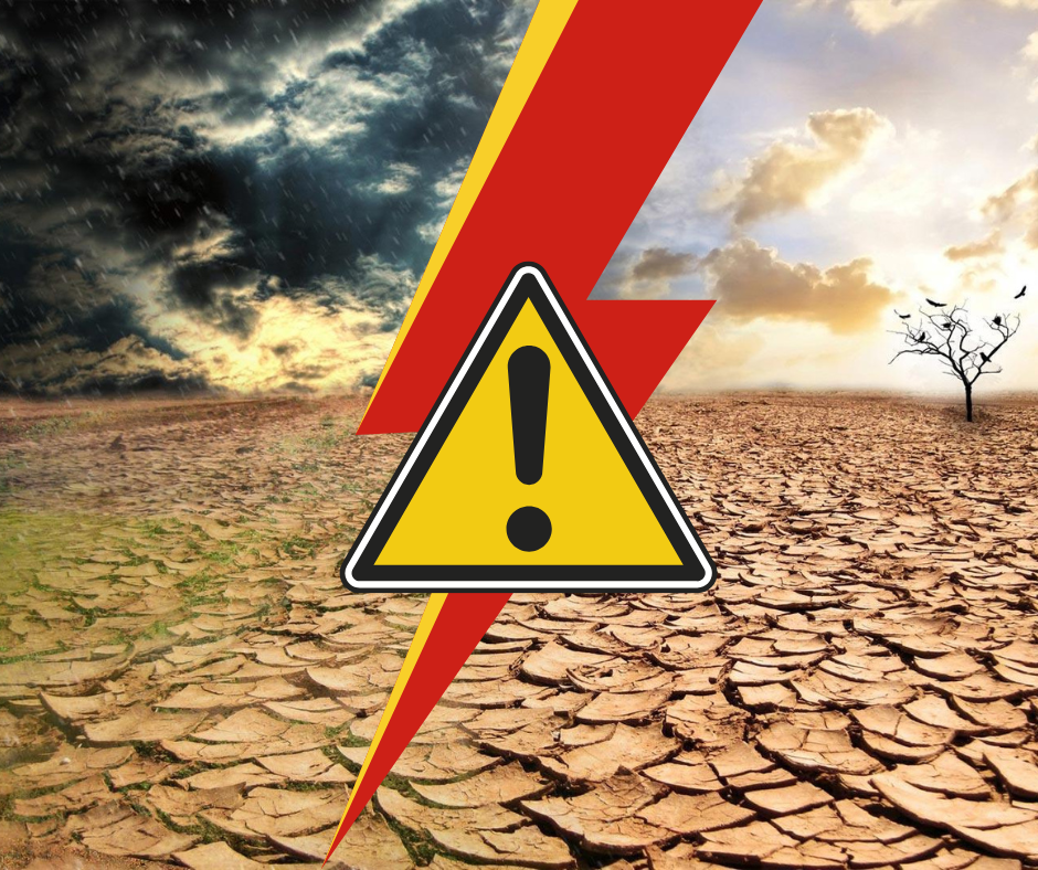 Україна на порозі світової катастрофи - вода і врожай у зоні підвищеної небезпеки. Які регіони перетворяться на пустелю?