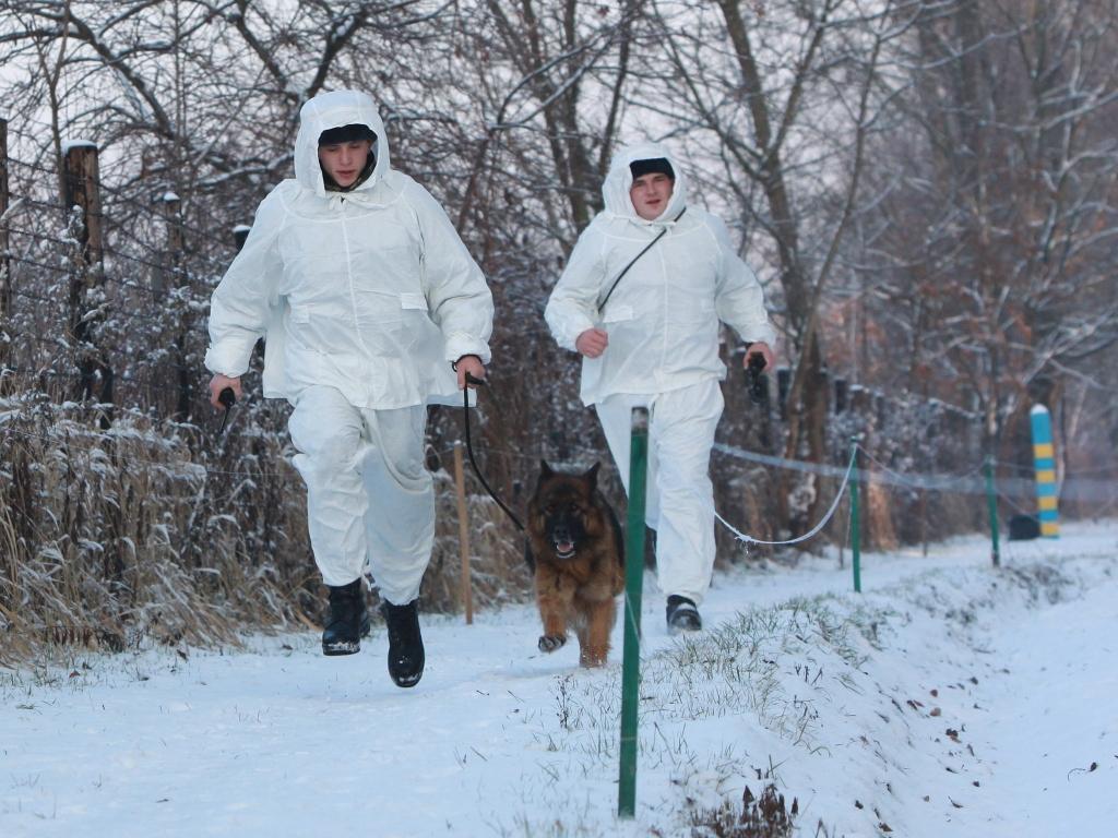 Нелегал на Закарпатті не добіг до кордону зі Словаччиною півкілометра