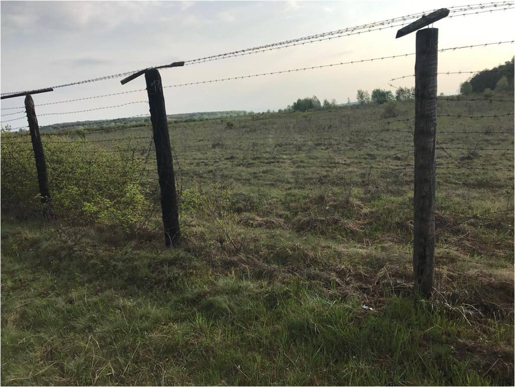 35-річного українця, який, пошкодивши загороджувальний паркан, порушив державний кордон, затримали учора прикордонники спільно з співробітниками СБУ та Нацполіції на Закарпатті.