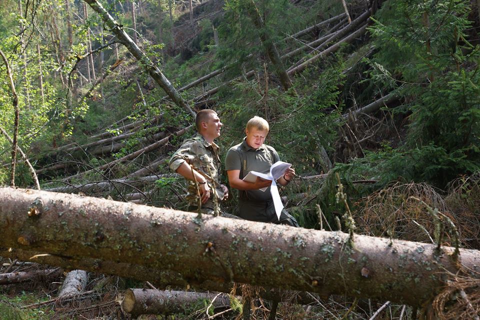 Буревій, що пронісся Рахівщиною, повалив 71,5 гектара лісу та завдав клопотів працівникам лісгоспу.
