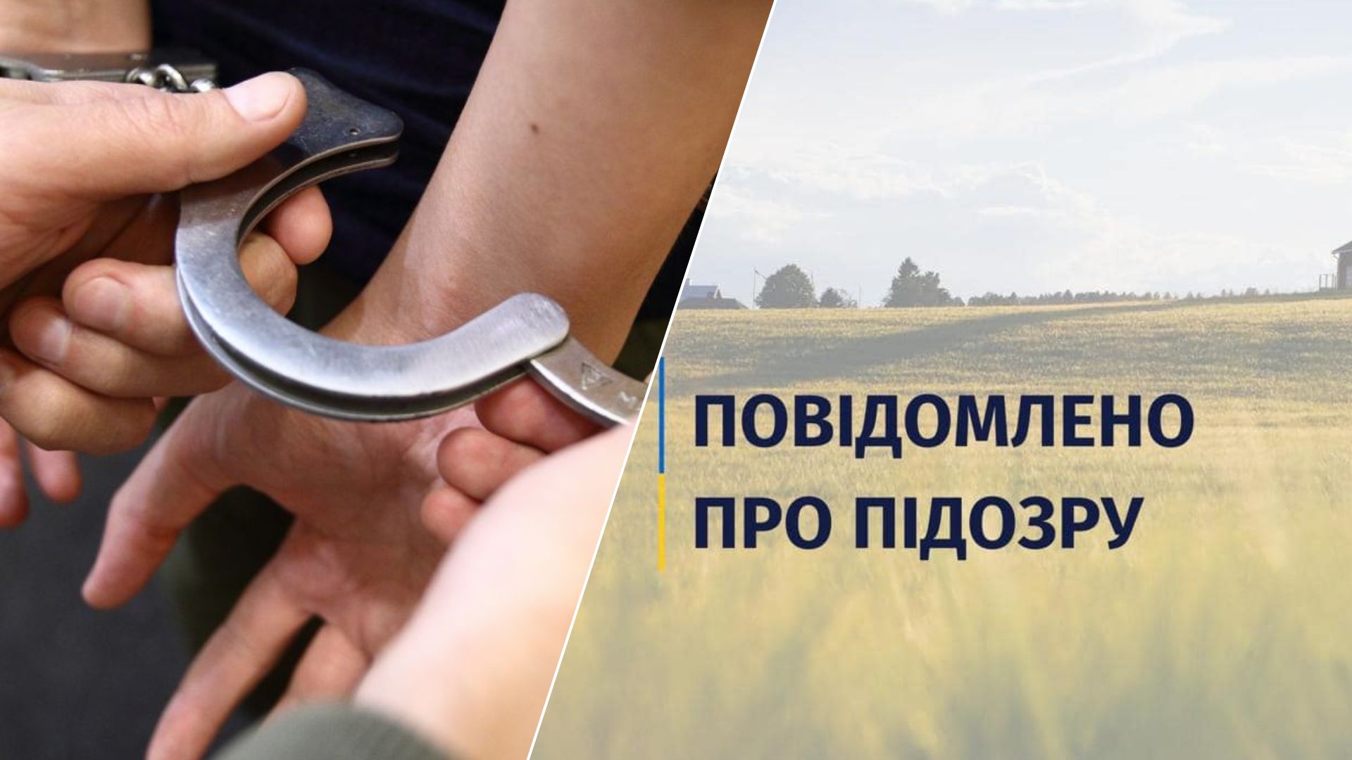На Закарпатті викрили схему захоплення земель на 36,5 млн грн: хто стоїть за оборудкою?