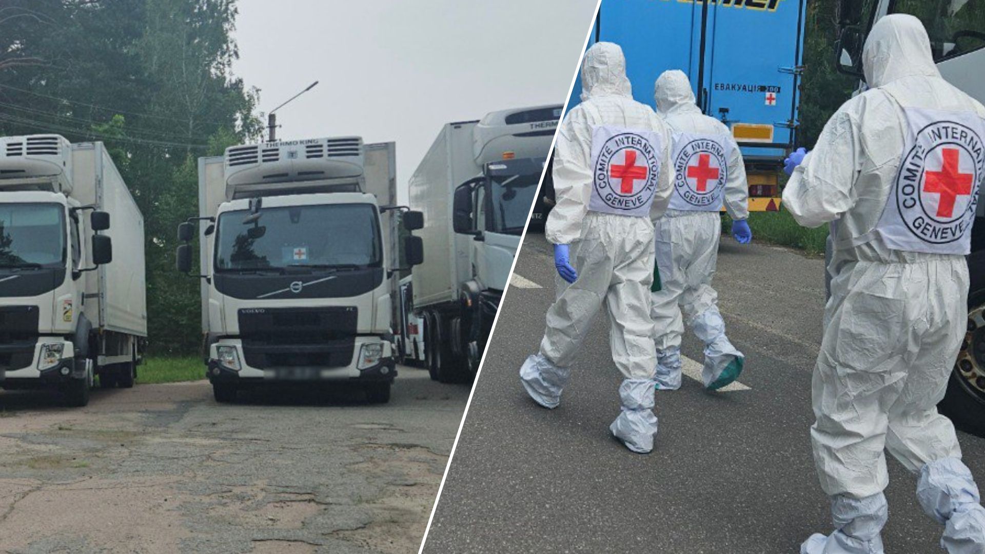 В Україну повернули тіла ще 1212 загиблих захисників (ФОТО)