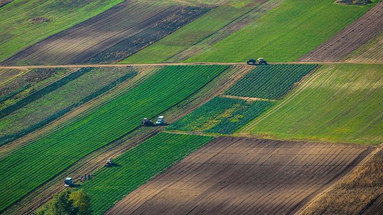 Зе-команда запускає процес продажу землі в Україні.