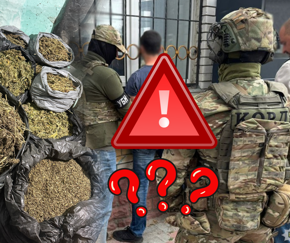 Експериментальний бізнес на "хворих": на Закарпатті набирає шаленої популярності канабіс (ФОТО)