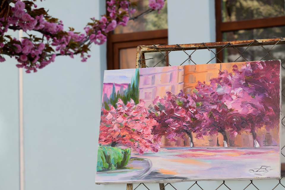 Ніжно-рожевий цвіт японської вишні став символом столиці Закарпаття навесні.