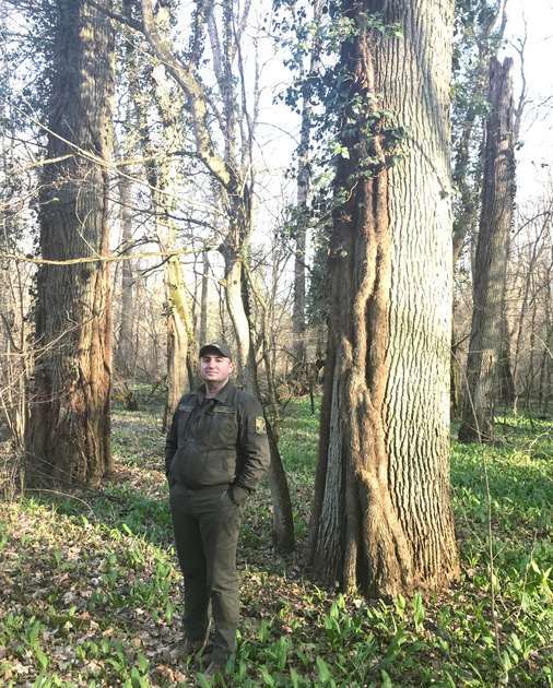 Розмова з директором Берегівського лісгоспу Богданом Шойного.