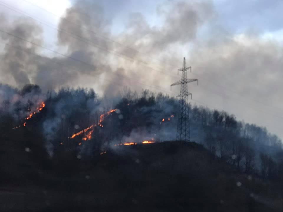 Пожежа вирує у лісах курортного краю – Свалявщини. 