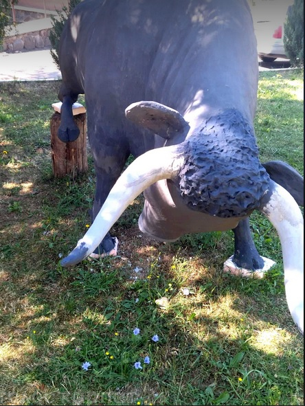 Ідеться про величну скульптуру - бика-Тура, який був раніше поширений у Закарпатських лісах.