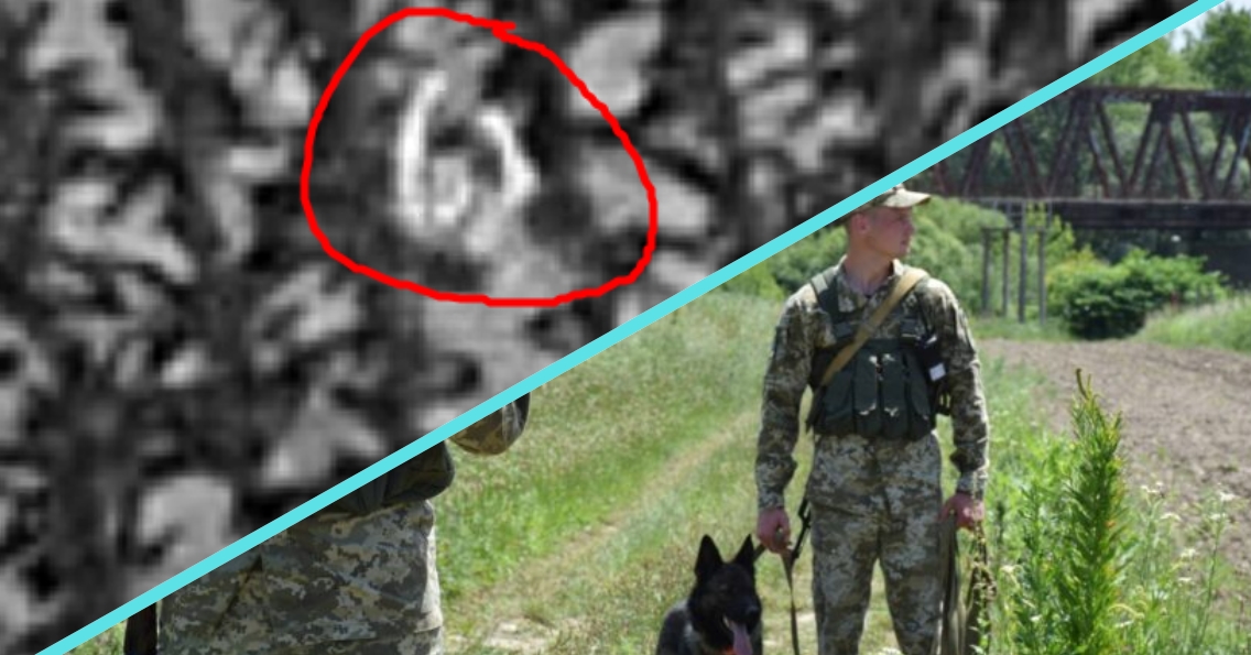 Дрон помітив дивних "працівників" на полі: поблизу кордону затримали іноземців (ВІДЕО)