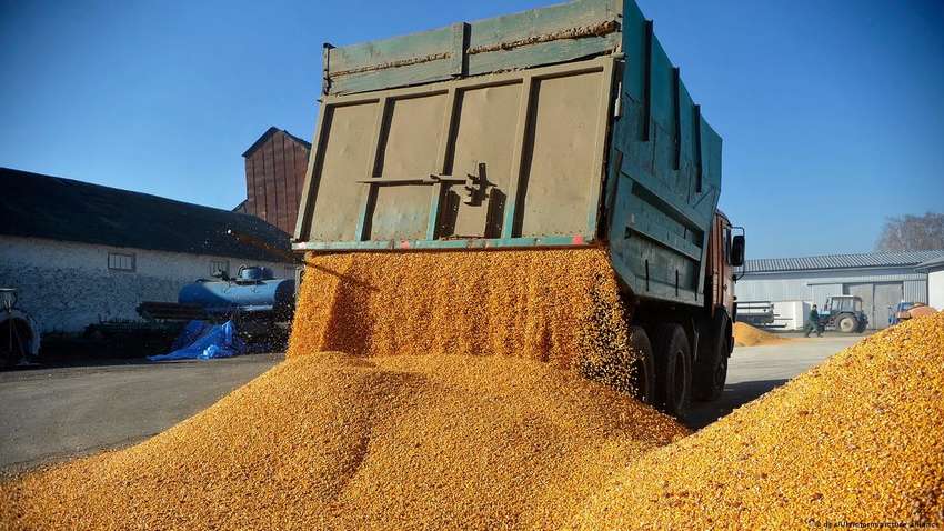 Україна блокує нелегальний експорт зерна: як нова система дала результати за перший тиждень?