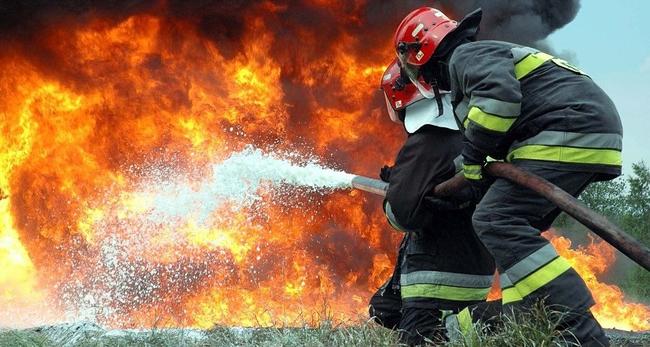 Kárpátalján a Nagyszőlősi járás egyik településén leégett egy szamócaültetvény. Erről az Ukrán Rendkívüli Helyzetek Állami Szolgálatának (DSZNSZ) Kárpátalja megyei főosztálya számolt be.