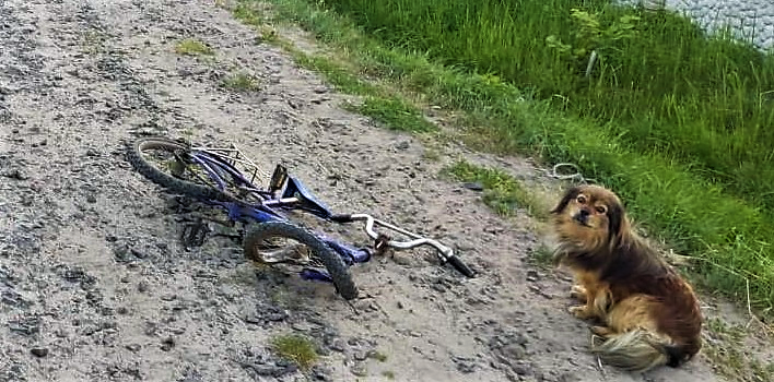 На Волині нетверезий 21-річний хлопець, керуючи мотоциклом марки SPARK, на автодорозі в селі Підріччя Камінь-Каширського району виїхав на узбіччя, де наїхав на семирічного велосипедиста.