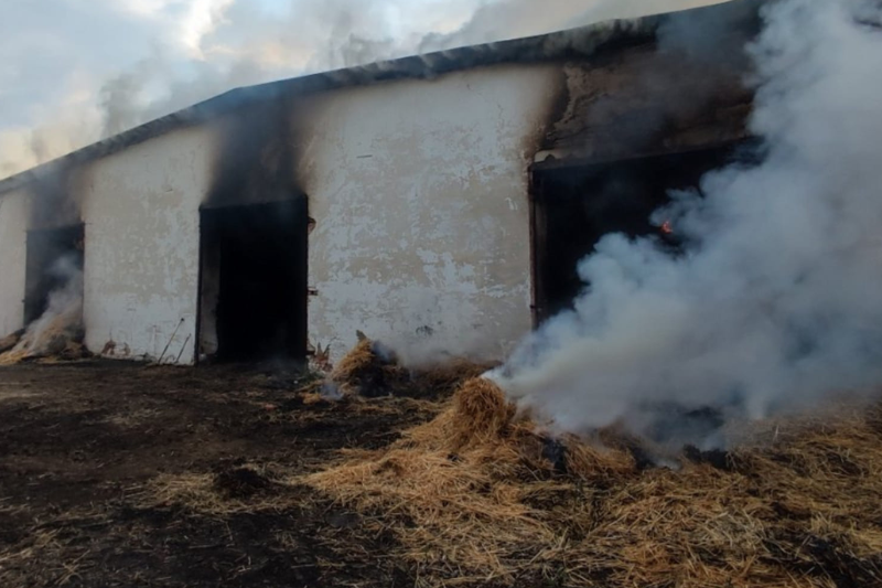 Загоряння сталося на фермі у селі Велика Паладь.