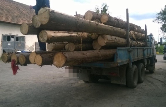 20 апреля в Сваляве правоохранители задержали грузовик с древесиной без соответствующих документов. Автомобиль помещен на штрафплощадку. Происхождения древесины сейчас выясняется.