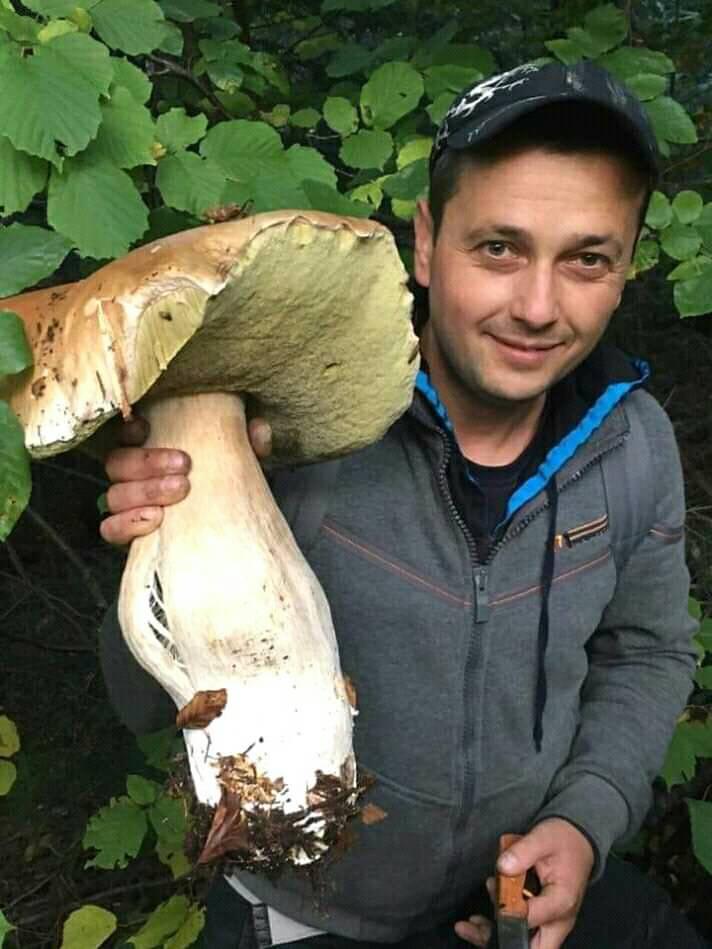 Грибний сезон вражає – у Карпатах знайшли гриб вагою 3,8 кг.