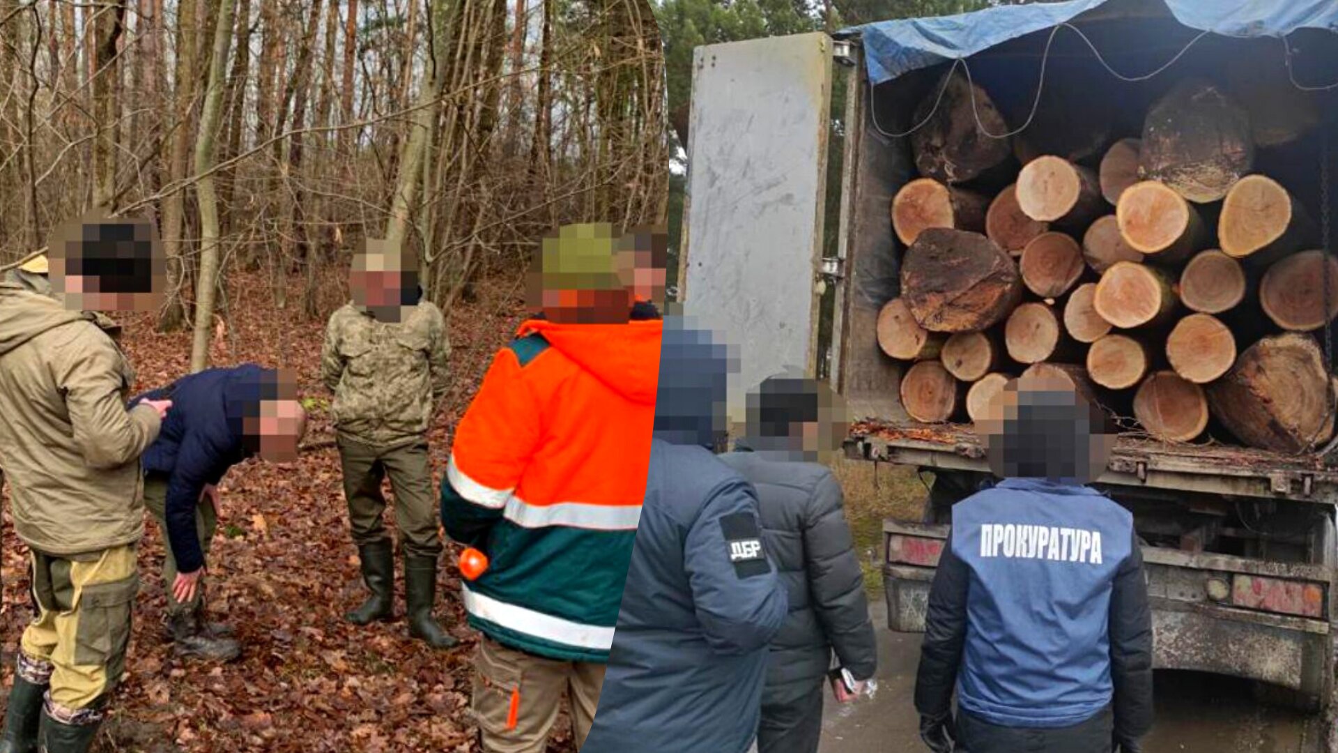 Посадовців Соснівського лісництва ДП «Львівське лісове господарство» викрили на масштабних незаконних рубках.