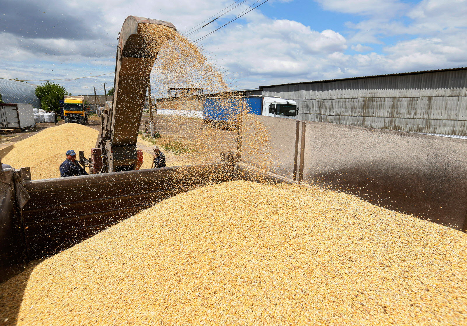 мультимодальний логістичний хаб для експорту зерна до країн Євросоюзу запустили на Закарпатті 