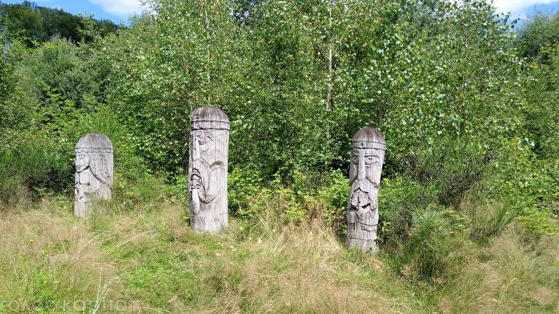 Дерев’яні ідоли та камінь-жертовник: у Карпатах знаходиться унікальне «Місце сили» ФОТО