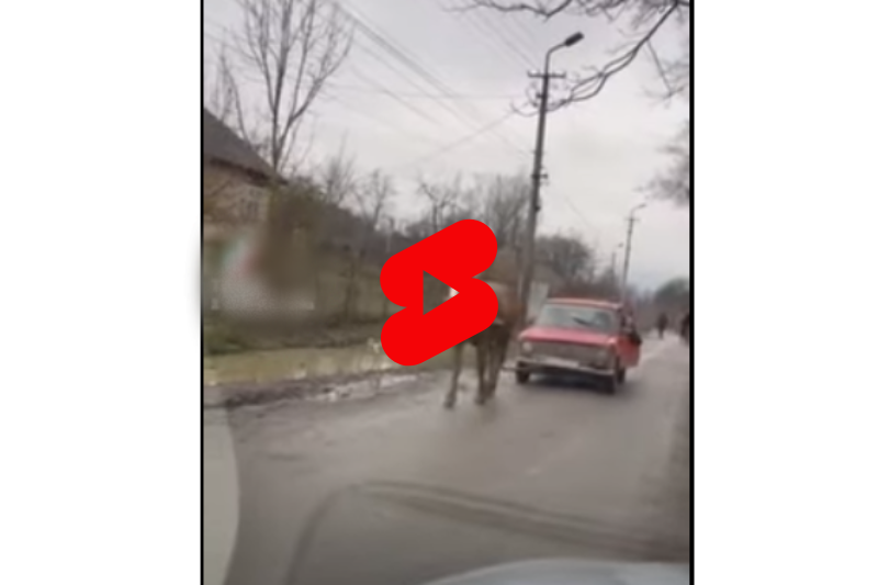 Цього разу мережею шириться відео лайфхаку від ромів, який допоможе, якщо заглухне автомобіль.
