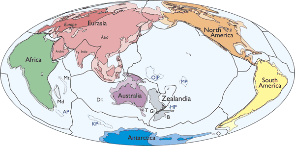 На Землі є сьомий континент – Зеаландія – площею близько 4,9 мільйона кілометрів.

