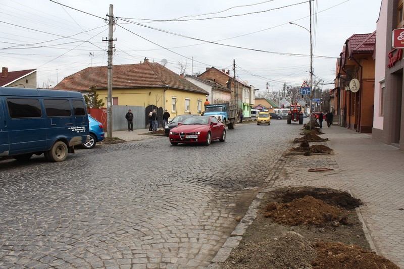 В Мукачево на улице Духновича работники коммунальных служб города начали высаживать аллею шаровидных кленов.