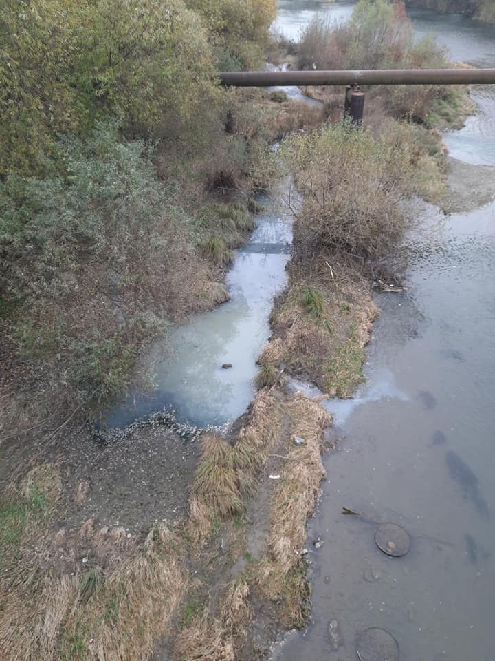 Нечистоти виливаються прямо у воду річку Уж.
