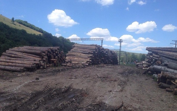 У червні щодня з України вивозилося понад 2,8 тисячі тонн деревини, а зараз показник знизився до 0,8 тисяч тонн.
