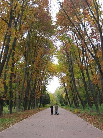Сегодня, 18-го октября, в Ужгороде на сессии городского совета депутаты приняли ряд земельных решений, в частности, выделили землю в Боздошском парке. 