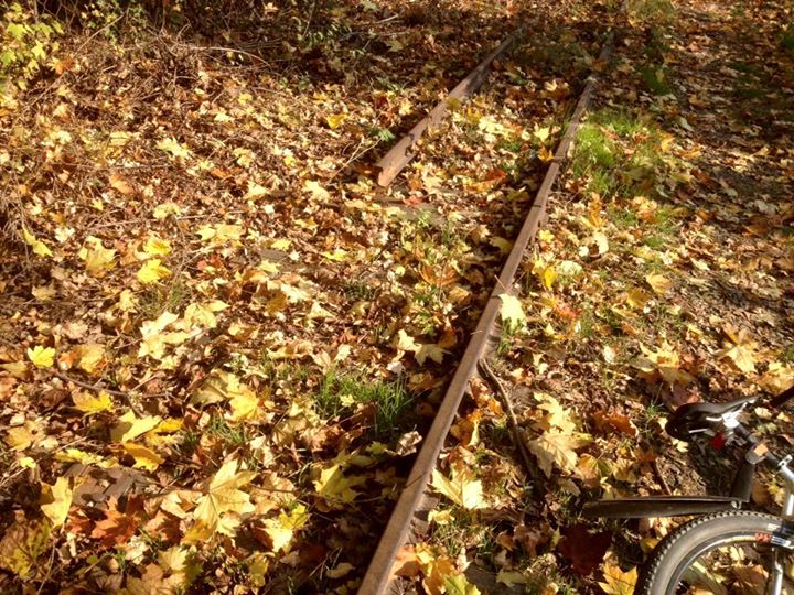 В Ужгороді невідомі особи розкрадають, очевидно - на металобрухт, рейки малої дитячої залізниці.
