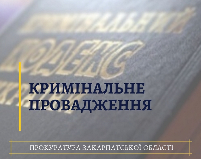 Прокуратурою у рамках окремої експертизи буде перевірено чи пропагує відео, яке оприлюднене у соціальній мережі та на Youtube-каналі культ насильства і жорстокості.