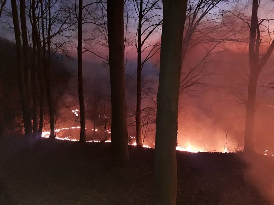 Вчора, 23 березня, близько 16-ї години у сільськогосподарських угіддях поблизу села Новоселиця виникла пожежа. 