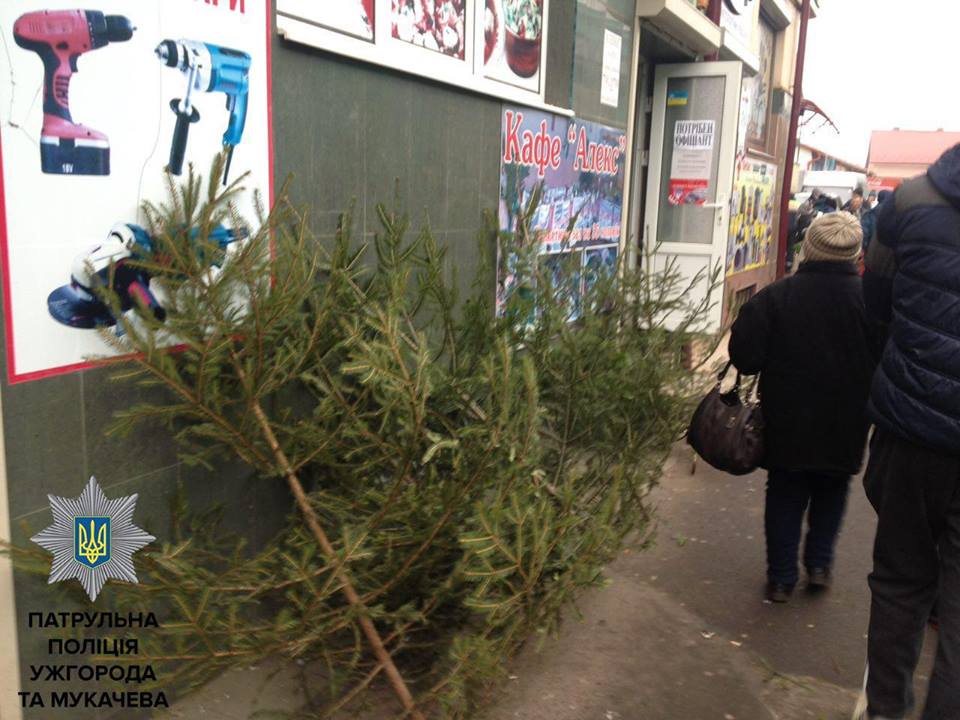 Сегодня, 23 декабря, около полудня патрульные Мукачево обнаружили продавца елок, у которого не было необходимых документов и чипов. 