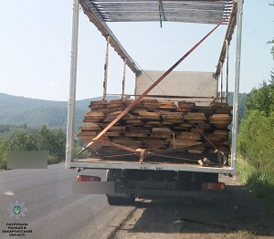 Закарпатські патрульні зупинили водія, який перевозив 8,5 кубів деревини.