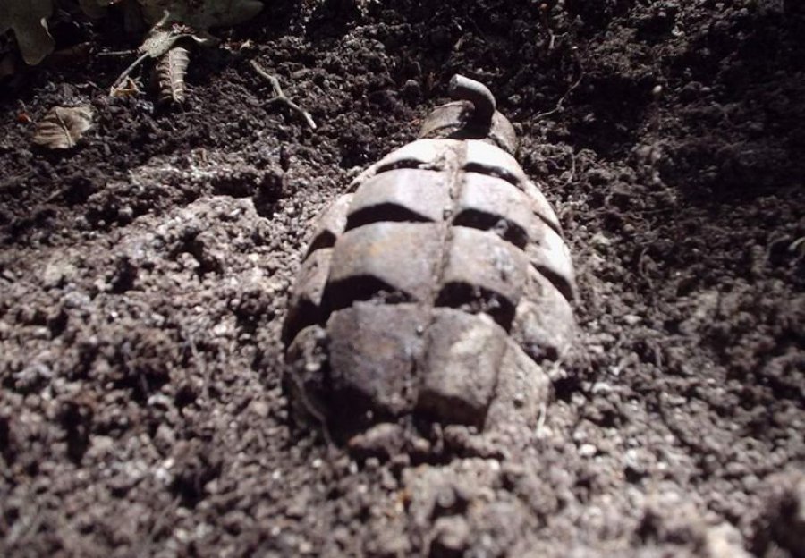 В Невицькому біля річки знайшли гранату Ф-