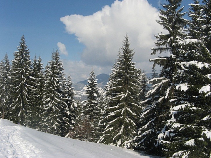 16 грудня температура повітря підніметься місцями до 5 градусів тепла, але в горах можливий мороз до 4 градусів.